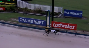 Party Mode Wins 2024 Casino Cup