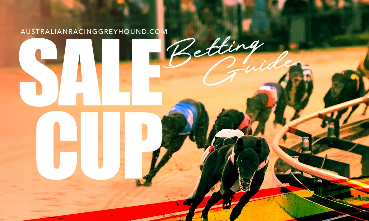 Sale greyhounds