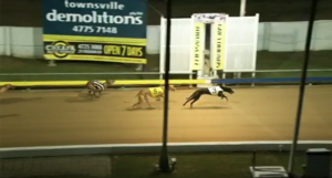 Showtime Isaac North Queensland Cup Final