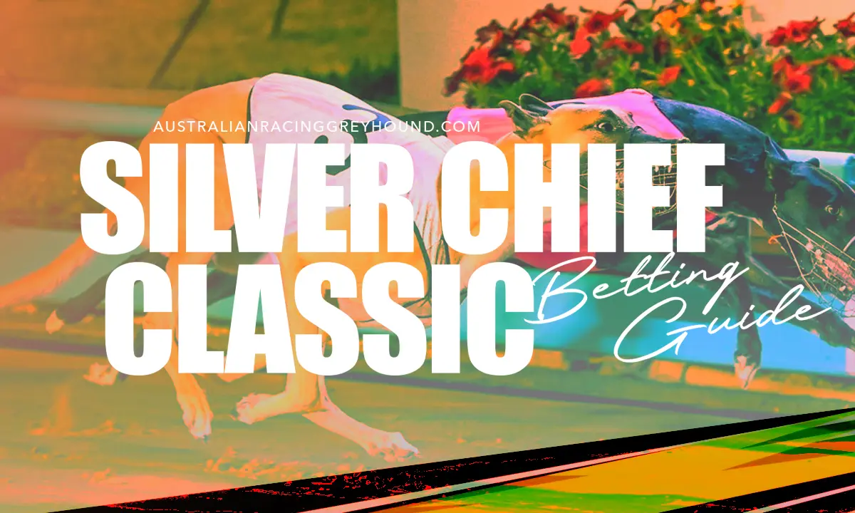 Silver Chief Classic