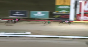 Bernie Burrow Group 1 Hobar Thousand Final
