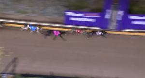 Chloe Ant wins the Christmas Gift Final at MAndurah