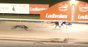 Fusion Mint wins 2024 Maitland Gold Cup Final