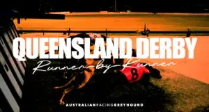 Queensland Derby greyhound tips