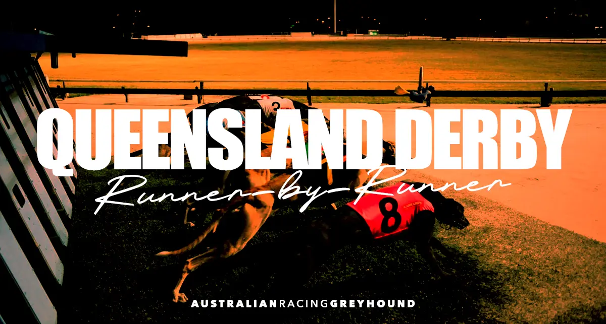 Queensland Derby greyhound tips