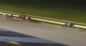 Sale Cup Heat 4 - Canya All Class