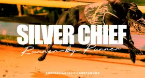 Silver Chief betting tips