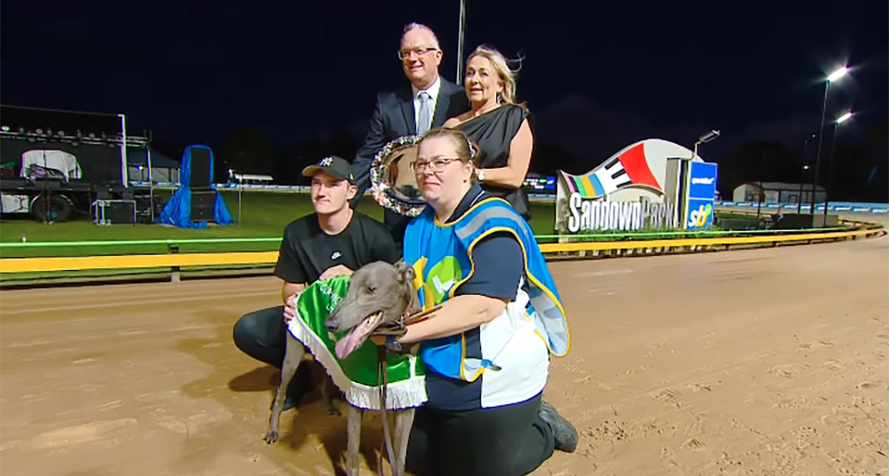 Smoth Plane wins Cup Night Sprint at Sandown