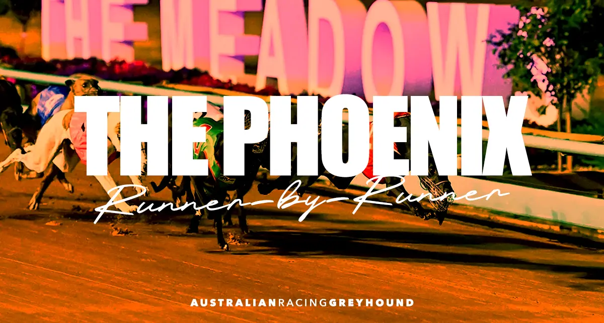 The Phoenix greyhound betting tips