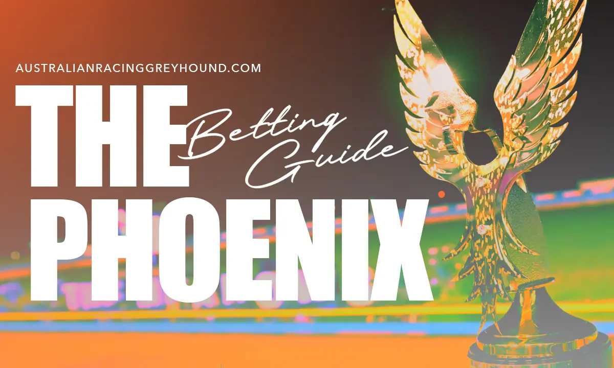 The Phoenix Greyhound Betting Guide
