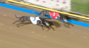 Tim Zoo wins The Phoenix Challenger Match Race