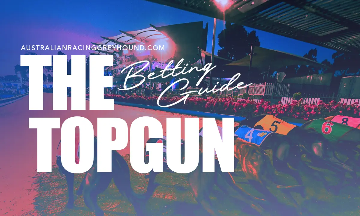 The Topgun Greyhound Betting
