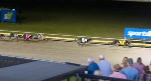 Trooper Tears wins the Sale Cup
