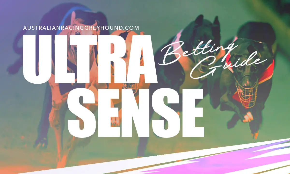 Ultra Sense Betting