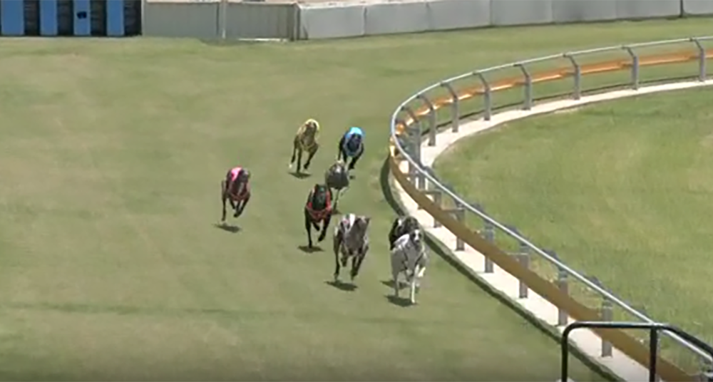 West Rock Casey Muswellbrook Cup