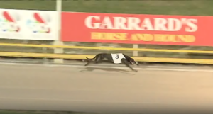 Wreck James wins Queensland Derby Heat 2