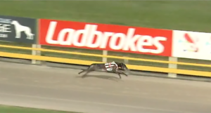 Deadly Avenger Gold Bullion Heat 1