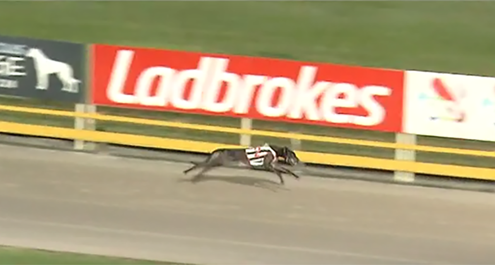 Deadly Avenger Gold Bullion Heat 1
