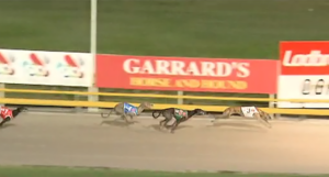 Ethanol Water - Gold Cup Albion Park