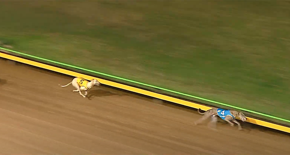 Flying Zulu wins the Australia Day Sprint