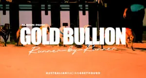 Gold Bullion greyhound tips