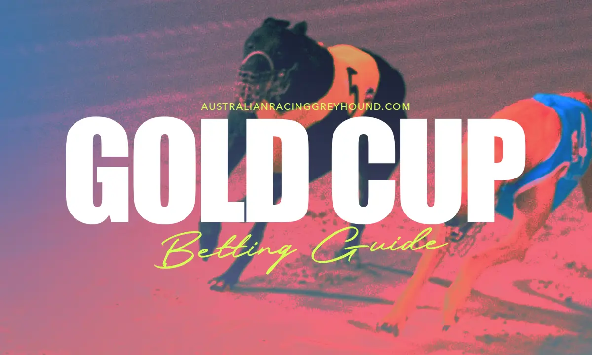 Gold Cup Albion Park