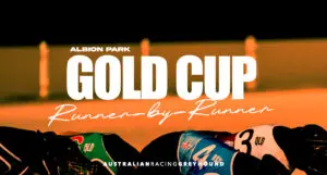 Gold Cup Albion Park greyhound tips