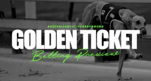 Golden Ticket Albion Park greyhound tips