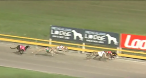 Good Odds Cobber Gold Bullion Final