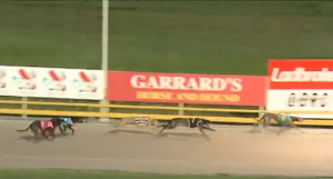 Hara's Cookie Golden Oldies Final