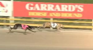 Nangar Gypsy wins Golden Sands Heat