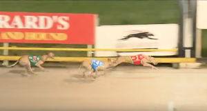 Nangar Gyspy wins Golden Sands Final