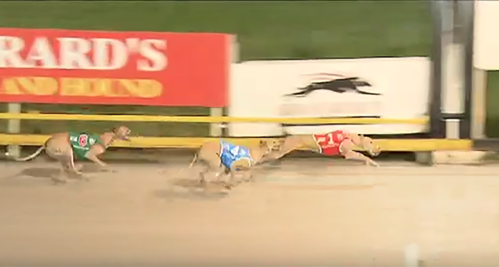Nangar Gyspy wins Golden Sands Final