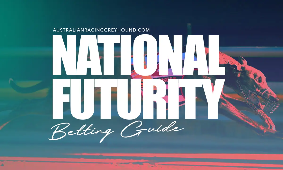 National Futurity Betting