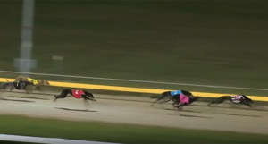 Seaton wins the Devonport Chase Hobart