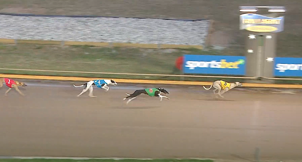 Shima Stan Western Districts Derby Heat 2