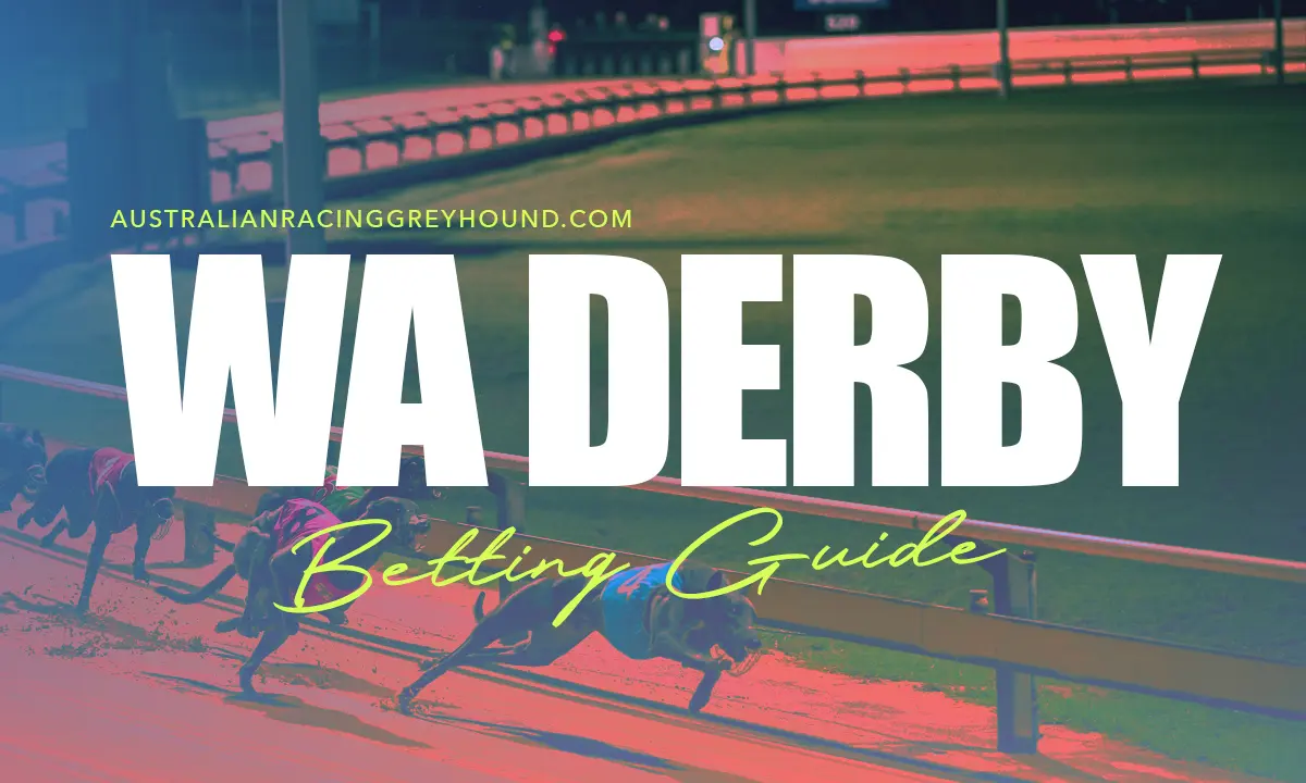 WA Derby Greyhound Betting
