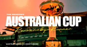 Australian Cup greyhound tips