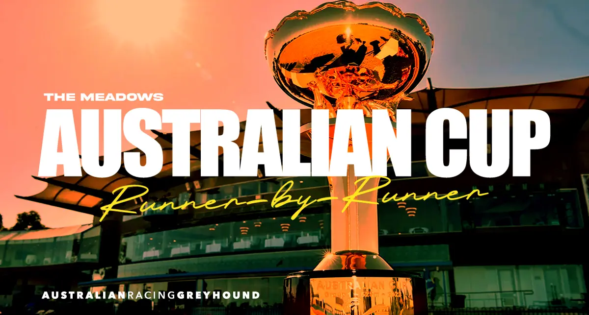 Australian Cup greyhound tips