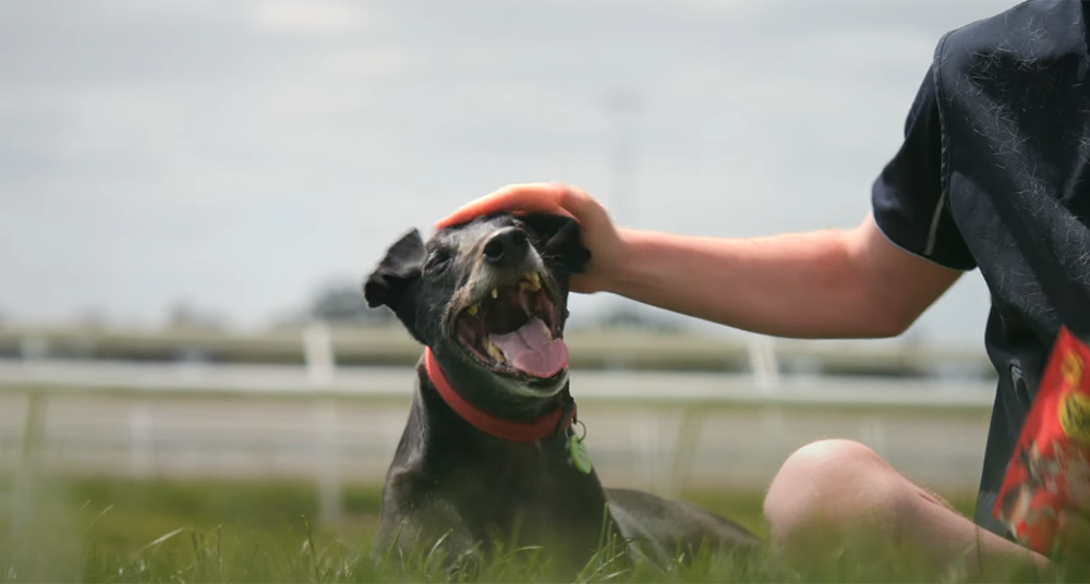 Canya All Class prepares for Australian Cup