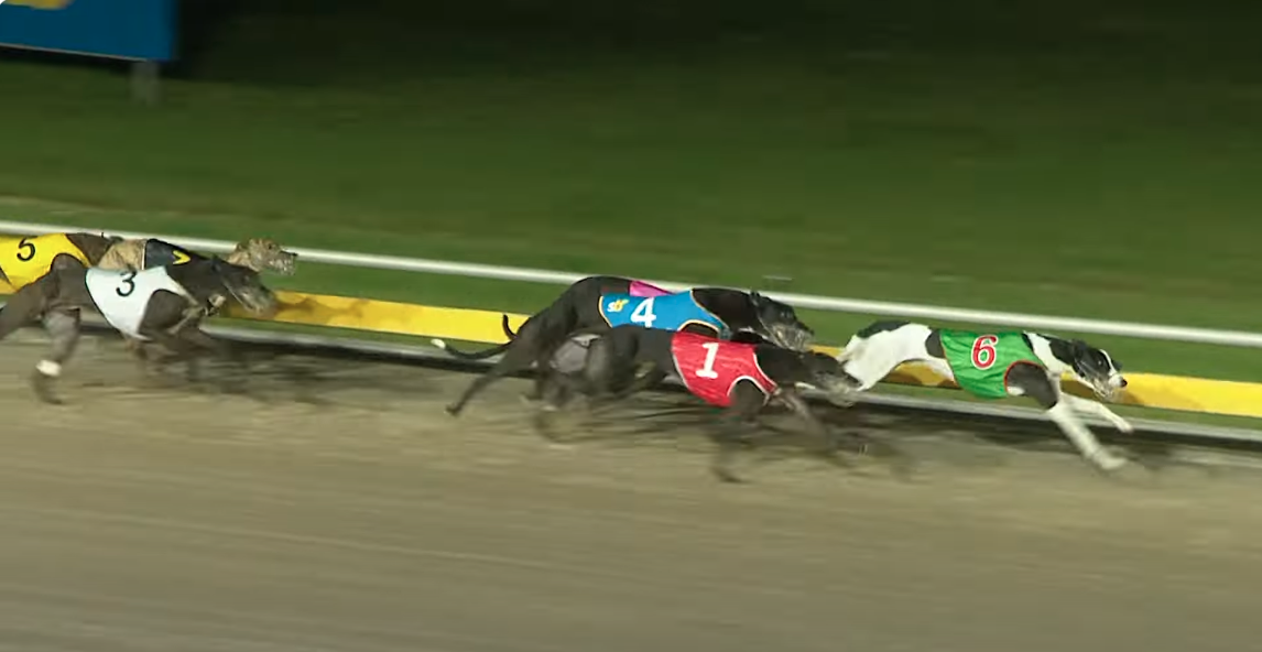 Drill Sergeant retires from racing
