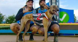 Ethanol Water wins heat 1 of the Fanta Bale Stayers at The Meadows. Time: 29.73