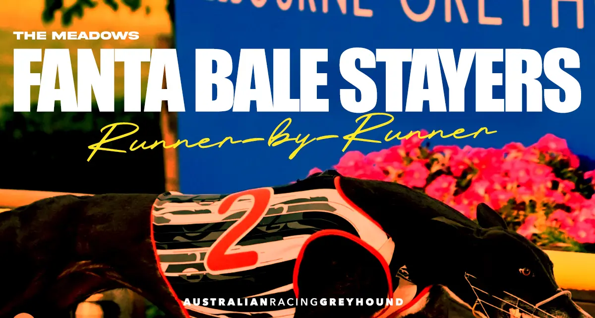 Fanta Bale Stayers greyhound tips