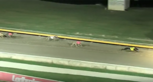 Ferness wins Group 2 Richmond Derby final for Ronald Evans