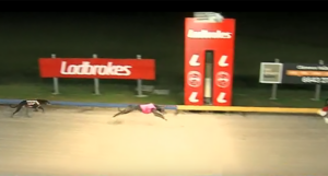Jeremiah Fire wins The Clarence at Frafton