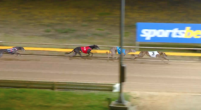 Leo Bale wins heat 5 of the Horsham Cup heats.