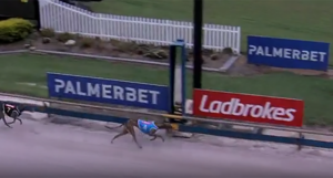 Maxine Dutton breaks Casino 300m track record