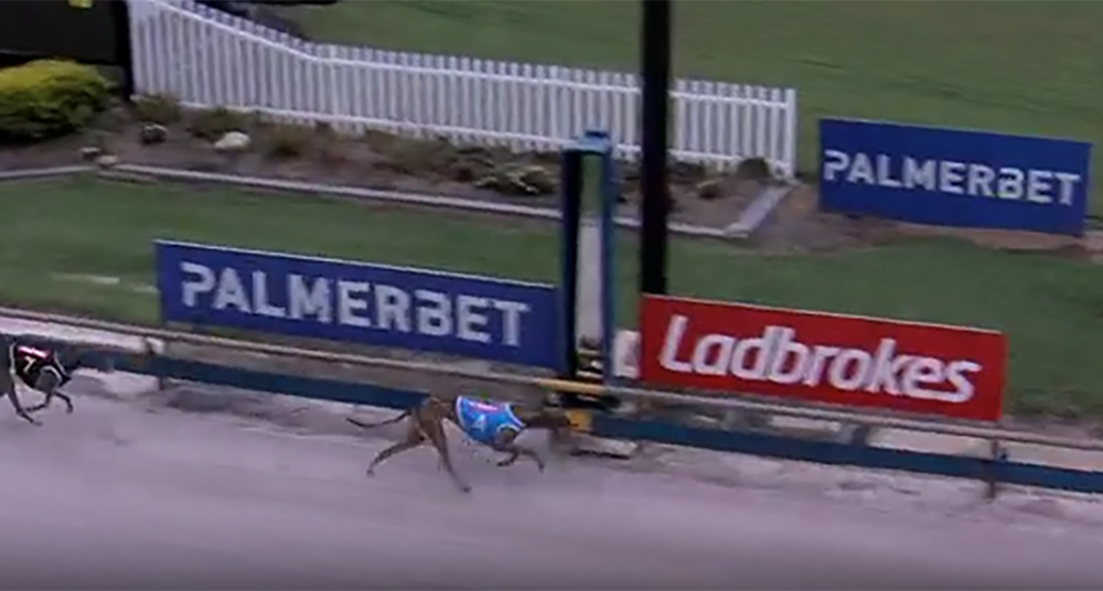 Maxine Dutton breaks Casino 300m track record