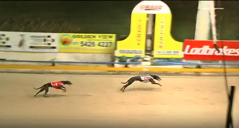 Saotshi - Vince Curry Memorial Maiden