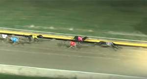 Sooty Keeping wins Group 2 Richmond Oaks